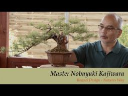 Nobuyuki Kajiwara - Bonsai design (Eng)