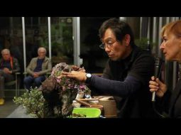 8° Satsuki Bonsai Festival: creazione di un bonsai su roccia