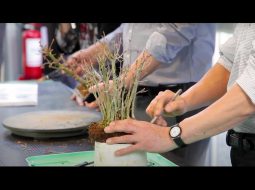 5° Bonsai Shohin Festival: creazione di una mini foresta