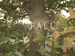 Fall short film Crespi Bonsai di Davide Calafà