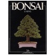 BONSAI & NEWS 26 SPECIALE STILE SU ROCCIA - NOV-DIC 1994