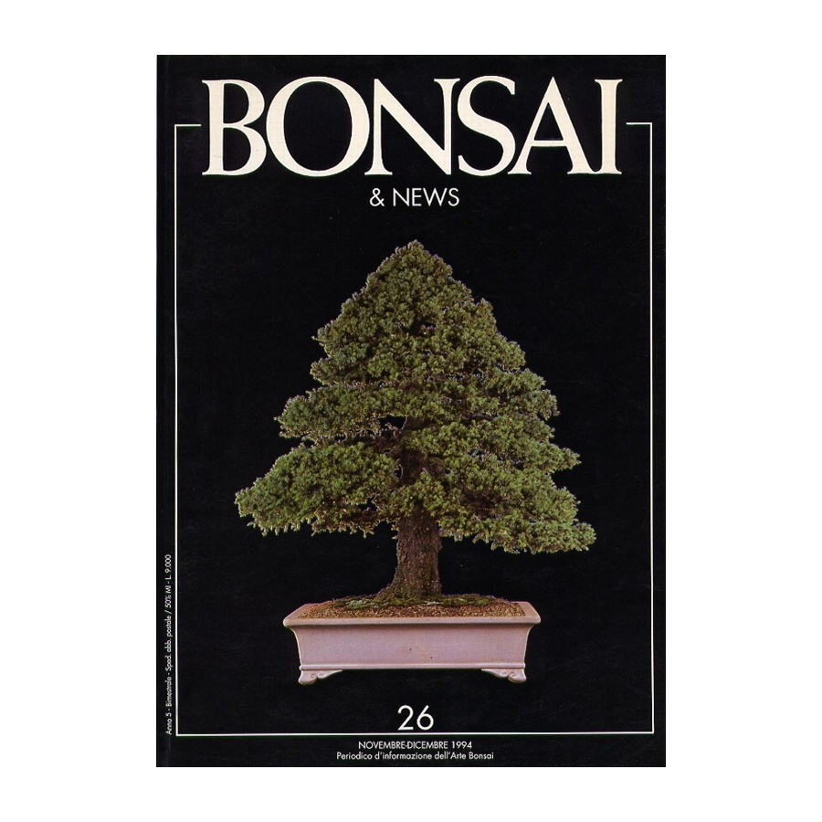 BONSAI & NEWS 26 SPECIALE STILE SU ROCCIA - NOV-DIC 1994