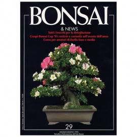 BONSAI & NEWS 29 - MAG-GIU 1995