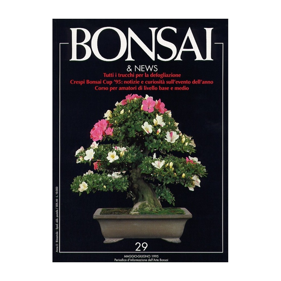 BONSAI & NEWS 29 - MAG-GIU 1995