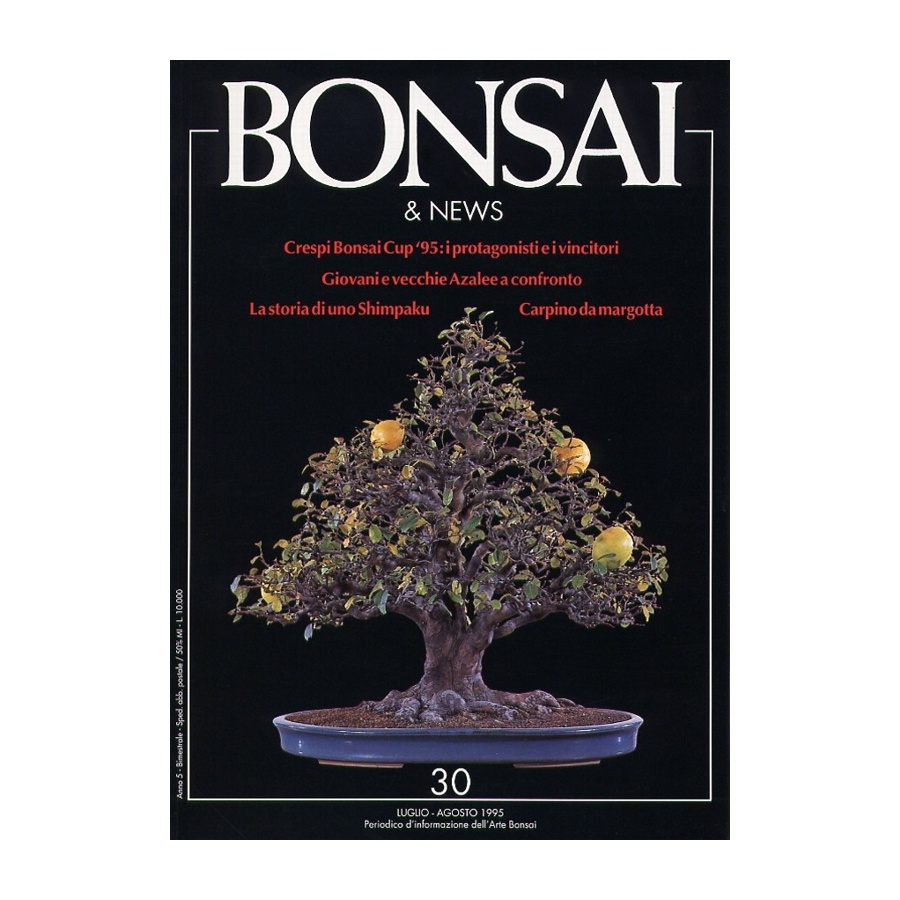 BONSAI & NEWS 30 - LUG-AGO 1995