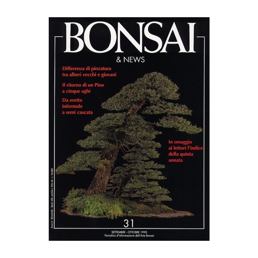 BONSAI & NEWS 31 - SET-OTT 1995