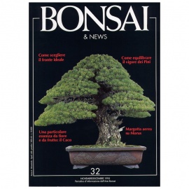 BONSAI & NEWS 32 - NOV-DIC 1995