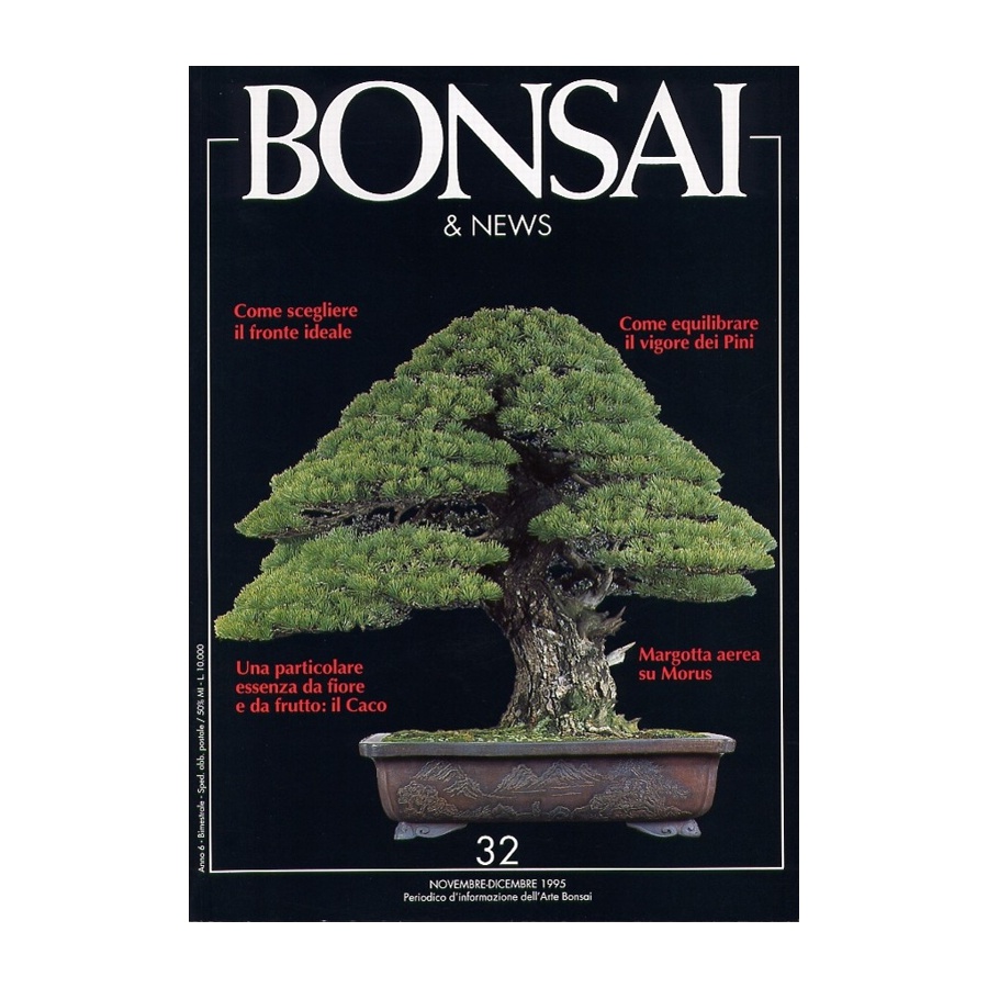 BONSAI & NEWS 32 - NOV-DIC 1995