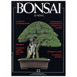 BONSAI & NEWS 33 - GEN-FEB 1996