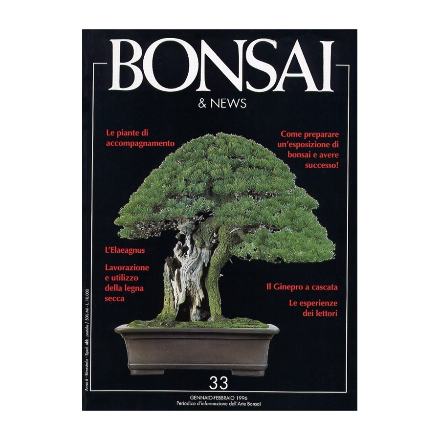 BONSAI & NEWS 33 - GEN-FEB 1996