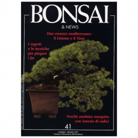 BONSAI & NEWS 41 - MAG-GIU 1997
