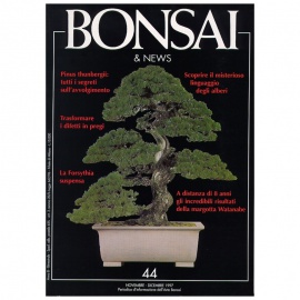 BONSAI & NEWS 44 - NOV-DIC 1997