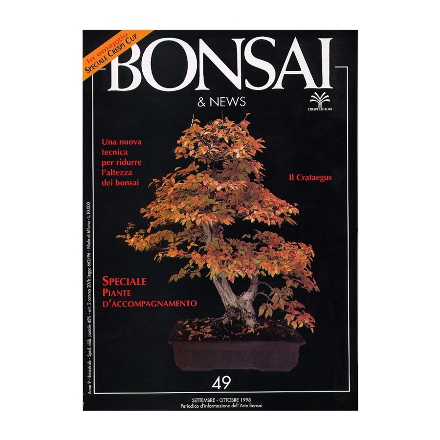 BONSAI & NEWS 49 SPECIALE BONSAI ERBACEI-KUSAMONO - SET-OTT 1998