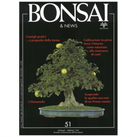 BONSAI & NEWS 51 - GEN-FEB 1999