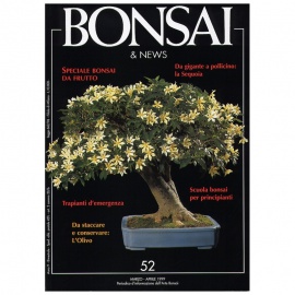 BONSAI & NEWS 52 SPECIALE BONSAI DA FRUTTO - MAR-APR 1999