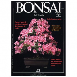 BONSAI & NEWS 53 - MAG-GIU 1999