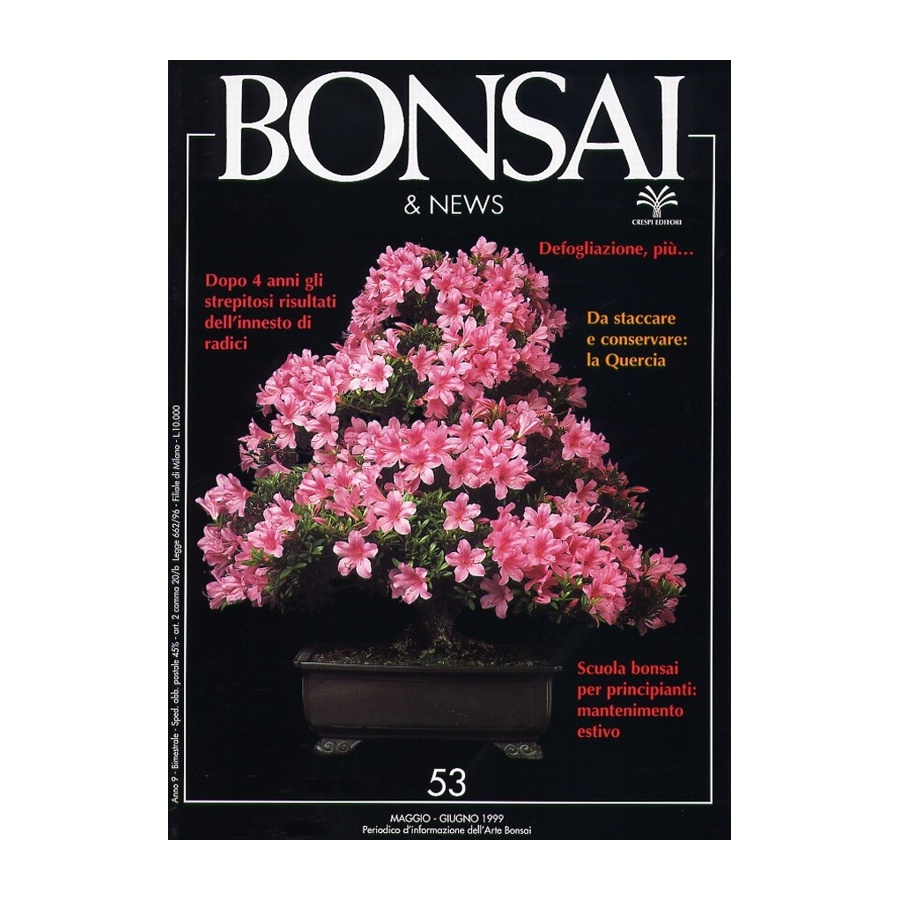 BONSAI & NEWS 53 - MAG-GIU 1999