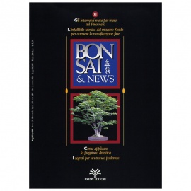 BONSAI & NEWS 71 - MAG-GIU 2002