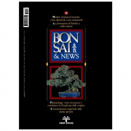 BONSAI & NEWS 78 - LUG-AGO 2003