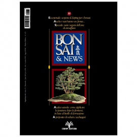 BONSAI & NEWS 77 - MAG-GIU 2003