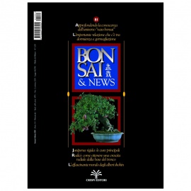 BONSAI & NEWS 81- GEN-FEB 2004