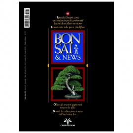 BONSAI & NEWS 83 - MAG-GIU 2004