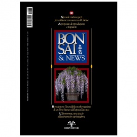 BONSAI & NEWS 88 - MAR-APR 2005