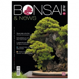 BONSAI & NEWS 145 - SET-OTT 2014