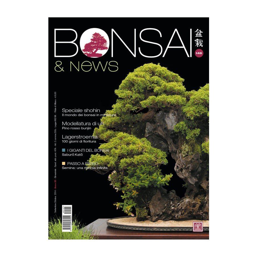 BONSAI & NEWS 145 - SET-OTT 2014