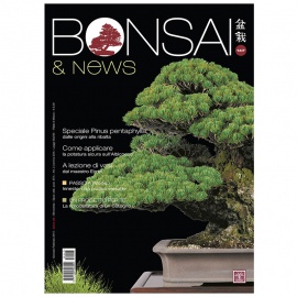 BONSAI & NEWS 147 - GEN-FEB 2015