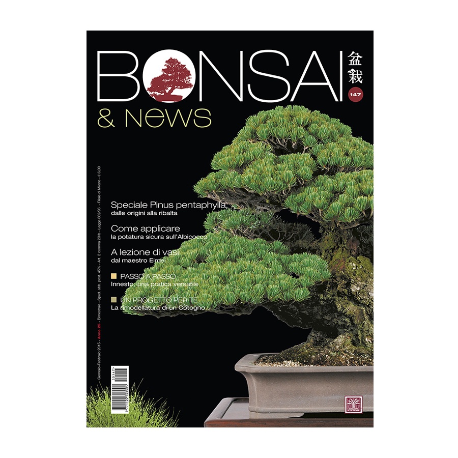 BONSAI & NEWS 147 - GEN-FEB 2015