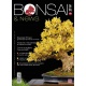 BONSAI & NEWS 148 - MAR-APR 2015