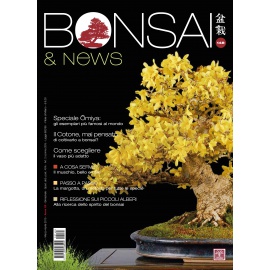 BONSAI & NEWS 148 - MAR-APR 2015