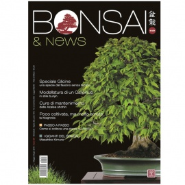 BONSAI & NEWS 149 - MAG-GIU 2015