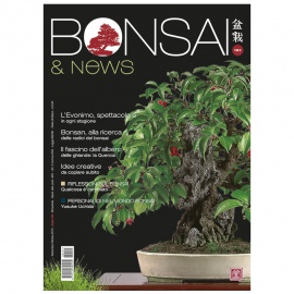 BONSAI & NEWS 151 - SET-OTT 2015