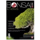 BONSAI & NEWS 154 - MAR-APR 2016