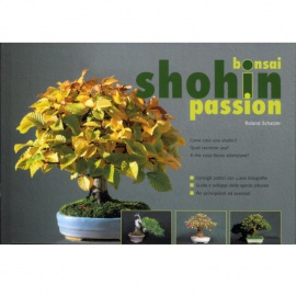 Bonsai Shohin Passion