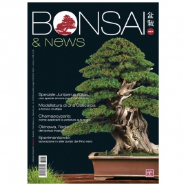 BONSAI & NEWS 157 - SET-OTT 2016