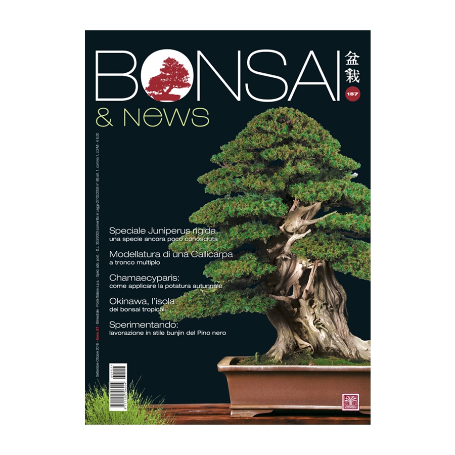 BONSAI & NEWS 157 - SET-OTT 2016