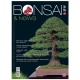 BONSAI & NEWS 158 - NOV-DIC 2016