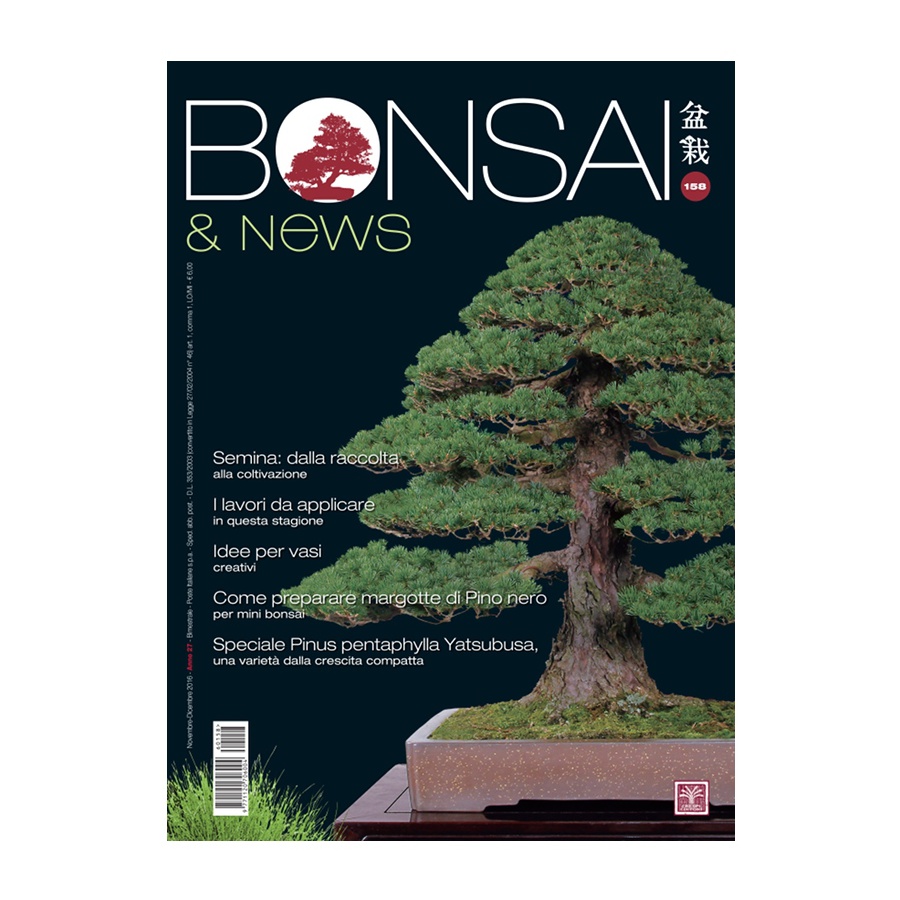 BONSAI & NEWS 158 - NOV-DIC 2016