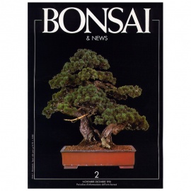 BONSAI & NEWS 2 - NOV-DIC 1990