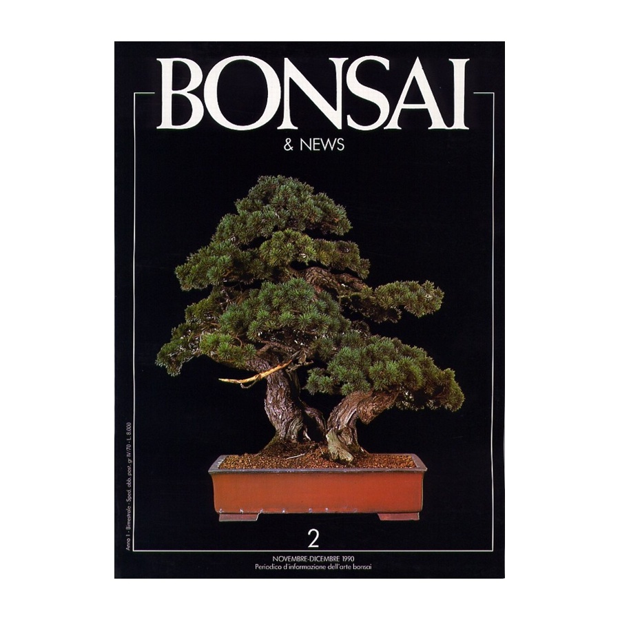 BONSAI & NEWS 2 - NOV-DIC 1990