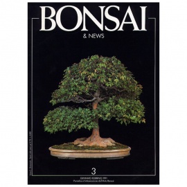 BONSAI & NEWS 3 - GEN-FEB 1991