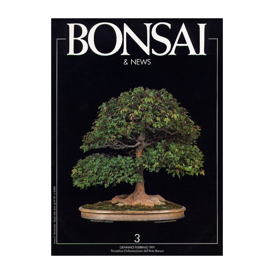 BONSAI & NEWS 3 - GEN-FEB 1991