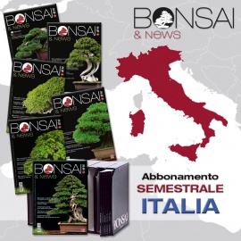 ABBONAMENTO SEMESTRALE ITALIA - BONSAI & NEWS