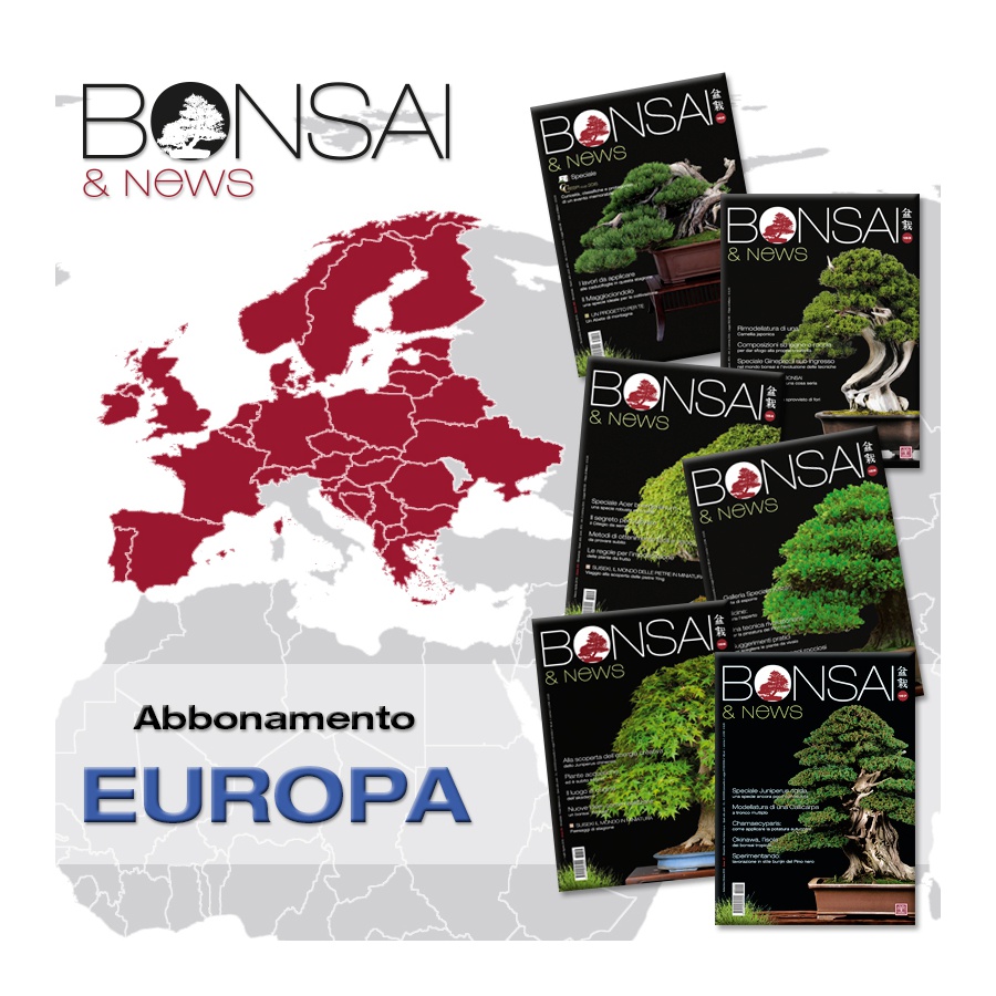 ABBONAMENTO ANNUALE EUROPA - BONSAI & NEWS