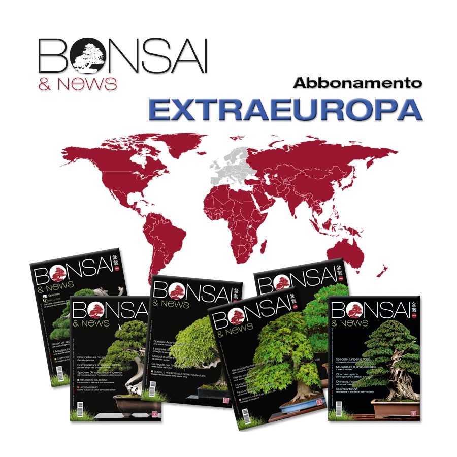 ABBONAMENTO ANNUALE EXTRA EUROPA - BONSAI & NEWS
