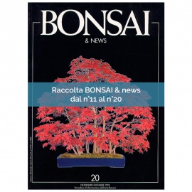 RACCOLTA BONSAI & NEWS DAL 11 AL 20