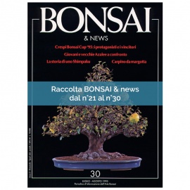 RACCOLTA BONSAI & NEWS DAL 21 AL 30